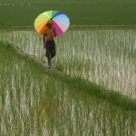 வியர்வையின் ருசி வியர்வையின் ருசி Alt