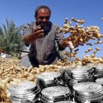 வெள்ளிப் பணமாகும் வேர்க்கடலைத் தோல்! வெள்ளிப் பணமாகும் வேர்க்கடலைத் தோல்! Alt