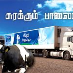 பால் சுரக்கும் பாலைவனம் பால் சுரக்கும் பாலைவனம் Alt