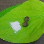 நலிந்து போன நல்லவைகள் நலிந்து போன நல்லவைகள் Alt