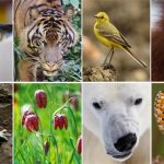 பிரபஞ்சத்தில் பஞ்சம் பிரபஞ்சத்தில் பஞ்சம் Alt