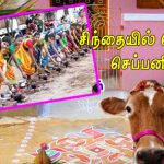 சிந்தையில் கொண்டு செப்பனிடுக! சிந்தையில் கொண்டு செப்பனிடுக! Alt