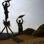 விவசாயத்தில் யோகாவைப் பயன்படுத்த வேண்டும்: இந்திய விவசாயத்துறை அமைச்சர். விவசாயத்தில் யோகாவைப் பயன்படுத்த வேண்டும்: இந்திய விவசாயத்துறை அமைச்சர். Alt