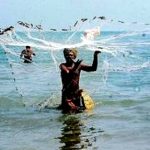 கொண்டை வலை Alt