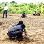 குட்டை மாமரப் பயிரிடும் திட்டம் மன்னார் மாவட்டத்தில் துவங்கியது குட்டை மாமரப் பயிரிடும் திட்டம் மன்னார் மாவட்டத்தில் துவங்கியது Alt