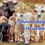 தொலைந்து போன செல்வங்கள் Alt
