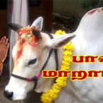 பால் மாறாட்டம் பால் மாறாட்டம் Alt